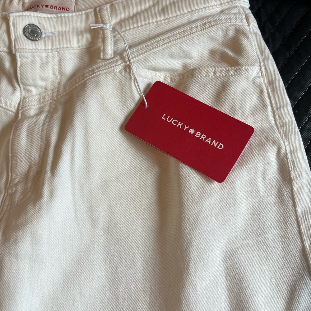 Luck Brand skirt. Size 12/31